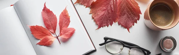 Панорамний Знімок Ноутбука Біля Червоного Листя Дикого Винограду Чашки Кави — стокове фото
