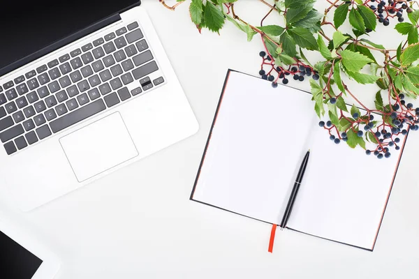 笔记本电脑旁边有钢笔的空白笔记本电脑 白色上有绿叶和浆果的野葡萄枝的顶部视图 — 图库照片