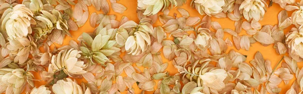 Panoramic Shot Scattered Dry Hops Petals Yellow Background — Stock Photo, Image