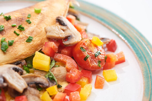 close up of tasty wrapped omelet with vegetables on plate