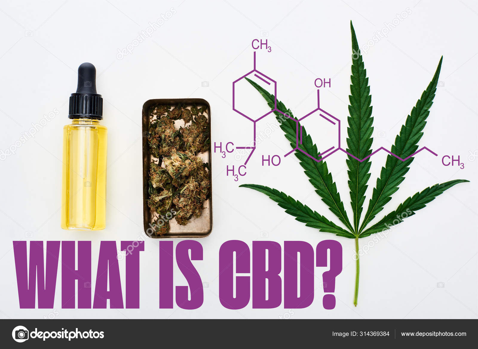 what is buds