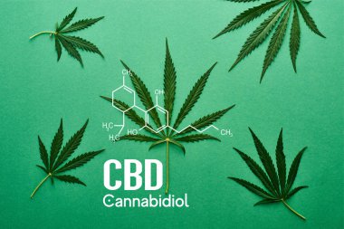 Yeşil arkaplandaki yeşil kenevir yapraklarının beyaz cbd illüstrasyonlu üst görünümü