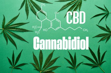 Yeşil arkaplandaki yeşil kenevir yapraklarının beyaz cbd illüstrasyonlu üst görünümü