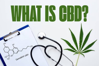 Tıbbi kenevir yaprağının üst görünümü, cbd moleküllü pano beyaz zemin üzerinde stetoskop yakınındaki resimleme cbd sorusu ile