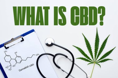 top view of medical cannabis leaf, clipboard with cbd molecule illustration near stethoscope on white background with what is cbd question clipart