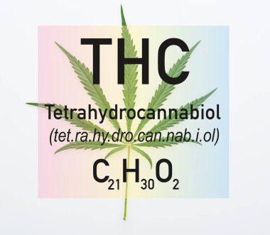 top view of cannabis leaf on white background with THC illustration clipart