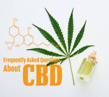 top view of cannabis leaf and cbd oil on bottle on white background with frequently asked questions about cbd illustration clipart