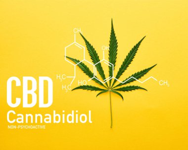 Sarı zemin üzerindeki kenevir yaprağının cbd molekülü resimlemesinin üst görünümü