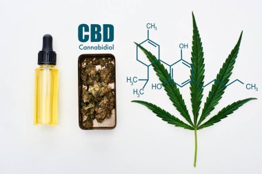 Yeşil kenevir yaprağı, cbd yağı ve marihuana tomurcukları beyaz arka planda metal kutuda, cbd molekül çizimi ile üst görünüm