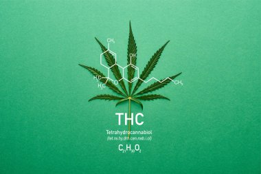 top view of cannabis leaf on green background with thc  molecule illustration clipart