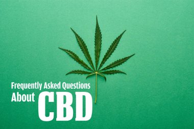 Yeşil zemin üzerinde esrar yaprağının üst görünümü ve cbd illüstrasyonu hakkında sıklıkla sorulan sorular