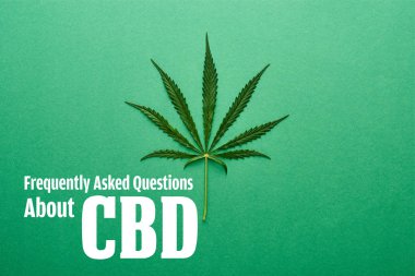 top view of cannabis leaf on green background with frequently asked questions about cbd illustration clipart
