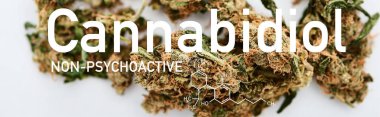 Beyaz zemin üzerinde tıbbi marihuana tomurcuklarının yakın görünümü Cannabidiol molekül çizimi, panoramik çekim