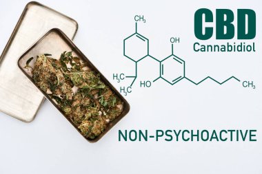 Beyaz zemin üzerinde metal kutuda marihuana tomurcuklarının üst görünümü ve cbd molekül çizimi