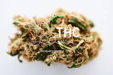marijuana bud on white background with thc molecule illustration clipart
