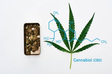Yeşil kenevir yaprağı ve marihuana tomurcuklarının beyaz arkaplandaki metal kutuda ve cbd molekül çizimlerinin üst görünümü