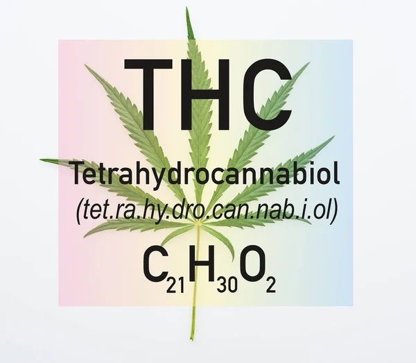 มมองด านบนของใบก ญชาบนพ นหล ขาวท ภาพประกอบ Thc — ภาพถ่ายสต็อก