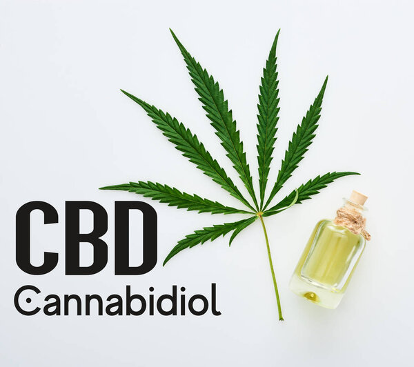 вид сверху на листья конопли и масло CBD на бутылке на белом фоне с иллюстрацией CBD
