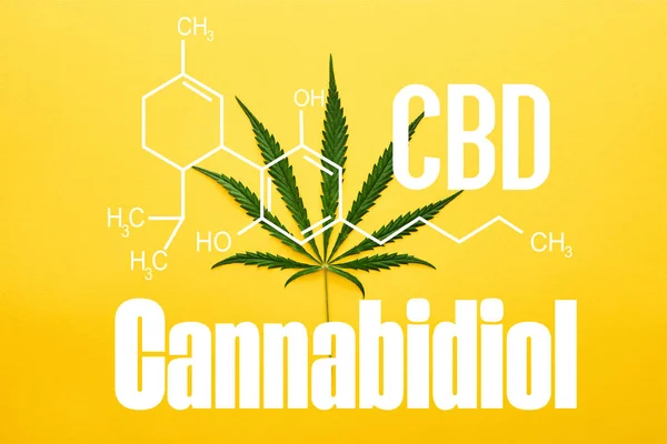 top view of cannabis leaf on yellow background with cbd molecule illustration