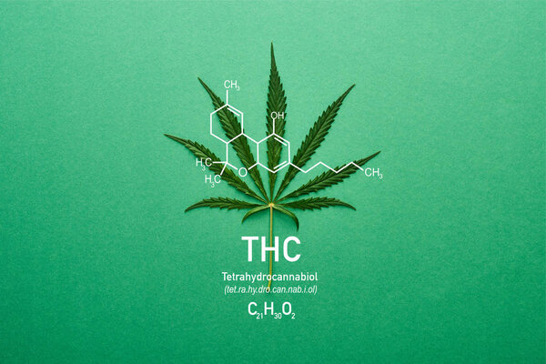 top view of cannabis leaf on green background with thc  molecule illustration