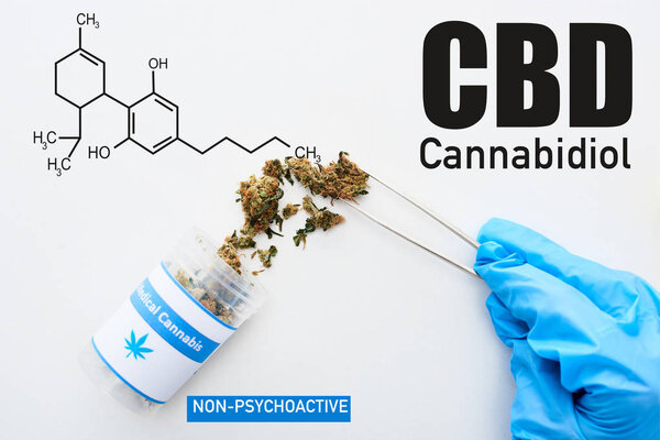 cropped view of doctor in blue glove holding medical cannabis with tweezers on white background with cbd molecule illustration
