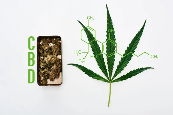 Top View Green Cannabis Leaf Marijuana Buds Metal Box White — Stock Photo, Image