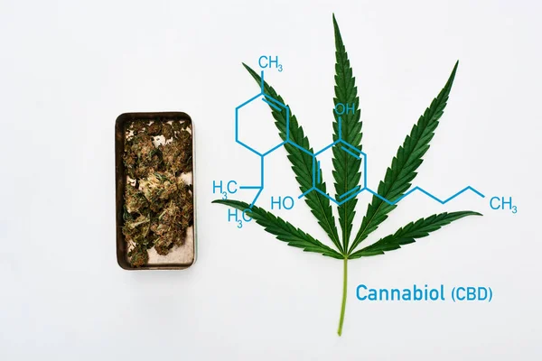 Ansicht Von Grünem Cannabisblatt Und Marihuana Knospen Metallbox Auf Weißem — Stockfoto