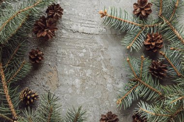 top view of fir branches and dry cones on grey stone surface clipart