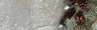 Köknar dallarının yanında doğal yağlı şişelerin ve gri taş yüzeyde kuru konilerin panoramik görüntüsü.