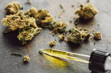 Tıbbi marihuana tomurcukları ve mermer yüzeyinde kenevir yağı bulunan damlalara yakından bakın.