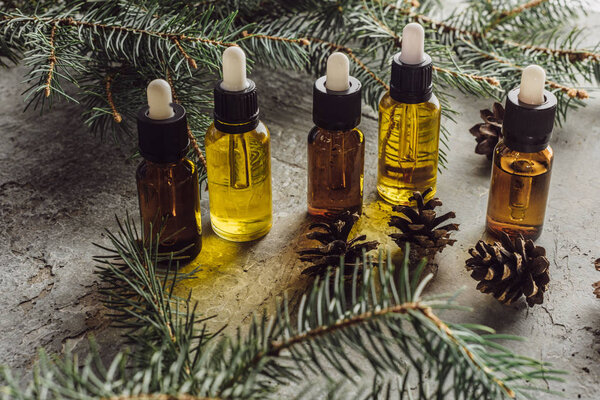 бутылки с натуральным маслом рядом с еловыми ветвями и сухие шишки на поверхности серого камня
