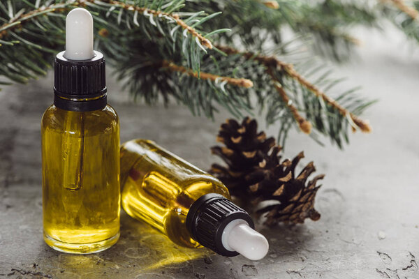 крупный план бутылок с натуральным маслом возле еловых ветвей и сухих конусов на поверхности серого камня
