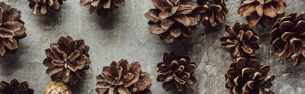 Panoramic Shot Dry Spruce Cones Scattered Grey Stone Surface — Stock Photo, Image