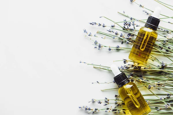 top view of dry lavender twigs with flowers and bottles with natural oil on white background 