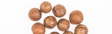 top view of Macadamia nuts scattered isolated on white, panoramic shot clipart