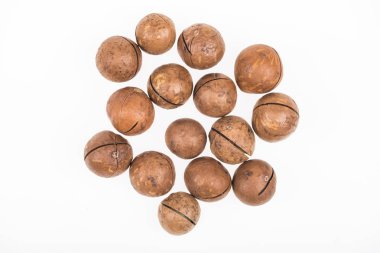 top view of Macadamia nuts scattered isolated on white clipart