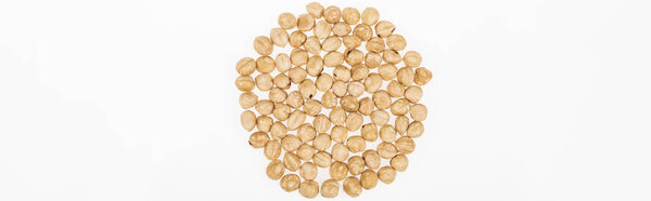 вид сверху на лесной орех, разбросанный по белому, панорамный снимок
