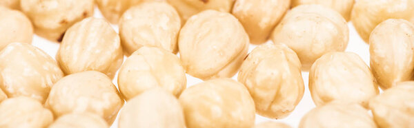 Крупным планом на белом панорамном снимке видны следы гадюки
