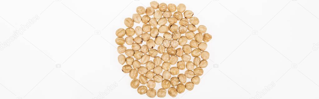 top view of hazelnut scattered isolated on white, panoramic shot
