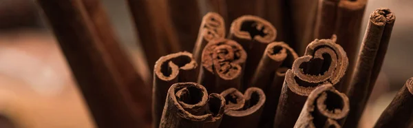 Close View Aromatic Fresh Cinnamon Sticks Panoramic Shot — Stock Photo, Image