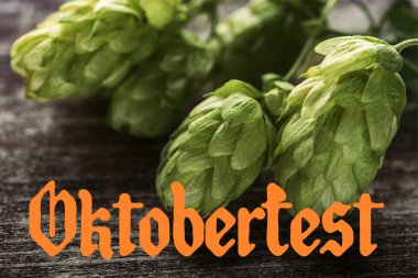 Yeşil manzaralı, ahşap masadaki, turuncu Oktoberfest harfleriyle.