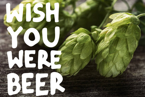 close up view of green hop on wooden table with wish you were beer illustration
