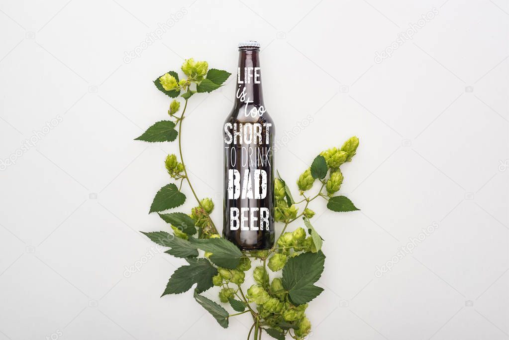top view of beer in bottle with life is too short to drink bad beer lettering  near green blooming hop on white background