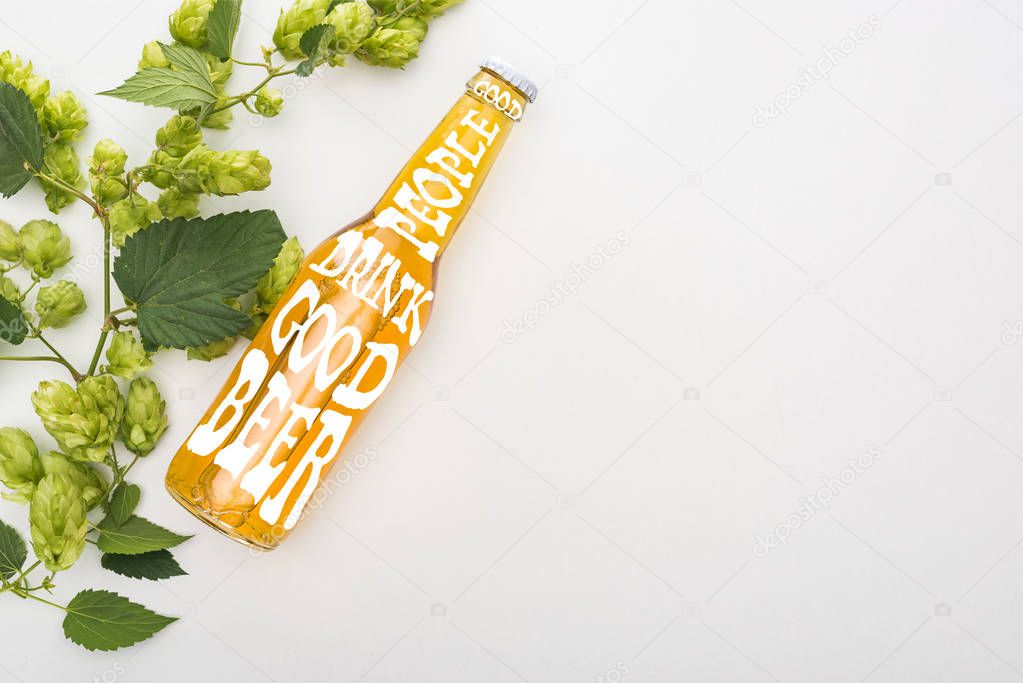 top view of beer in bottle with good people drink good beer lettering and green blooming hop on white background