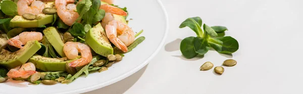 Fresh Green Salad Shrimps Avocado Plate White Background Horizontal Image — Stock Photo, Image