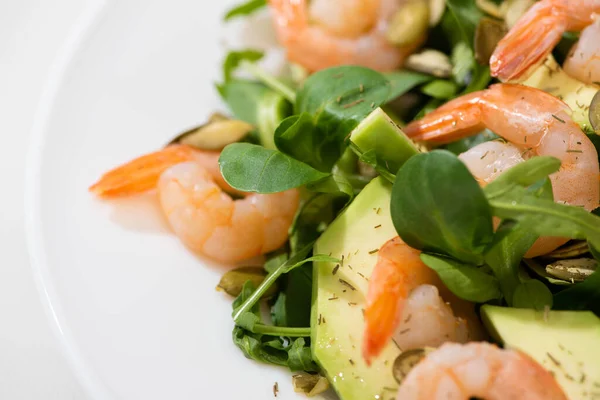 Close View Fresh Green Salad Shrimps Avocado Plate — Stock Photo, Image