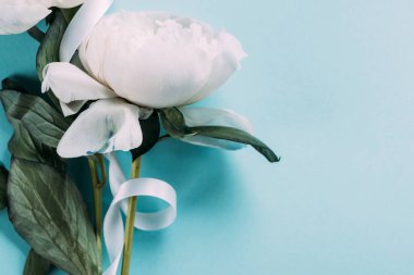 Mavi arkaplanda kurdelesi olan beyaz şakayıkların üst görünümü