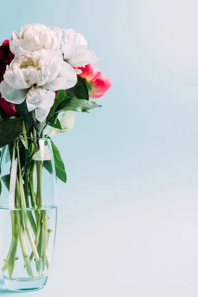 Ramo Peonías Rosadas Blancas Jarrón Vidrio Sobre Fondo Azul —  Fotos de Stock