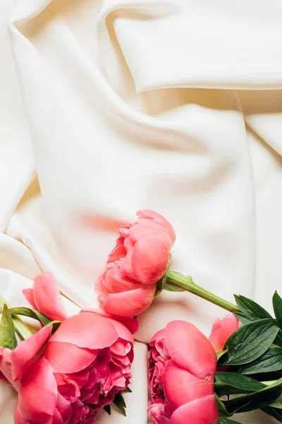 白色布上粉色美丽的牡丹的顶视图 — 图库照片