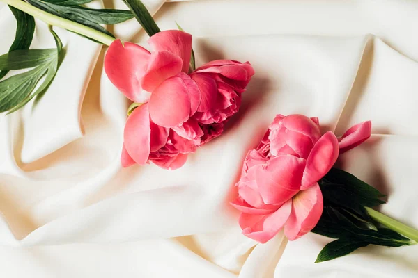 Vue Dessus Belles Pivoines Roses Sur Tissu Blanc — Photo